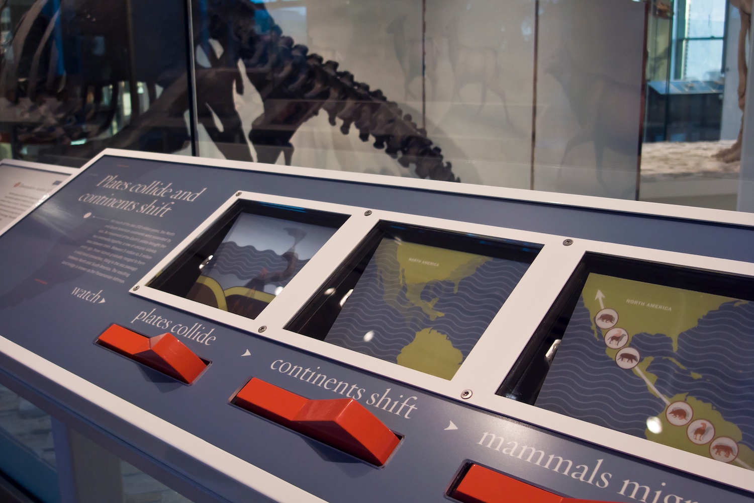 Plates Collide Interactive